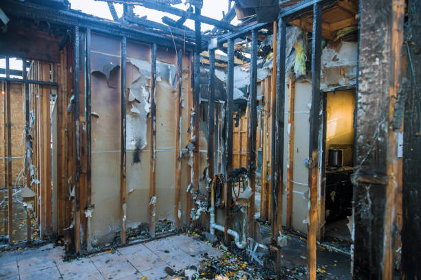 Professional Smoke Damage Removal technician working in Pittsburgh, PA